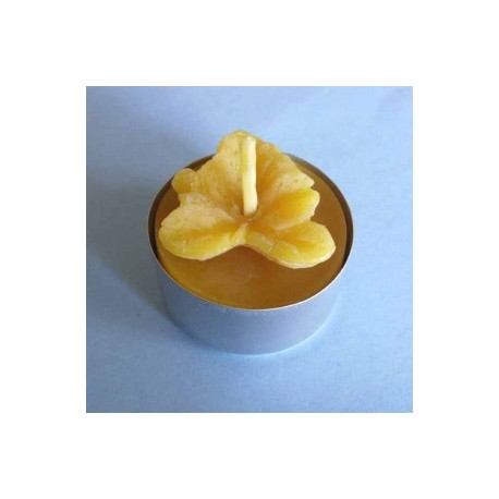 Tealight beeswax candle leaf