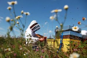 le-parlement-a-interdit-les-insecticides